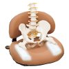 Adjustable Air Seat Cushion, Beauty Hip Cushion. OEM ODM Healthcare Products Supplier. B2B Customer Support. EROUND HealthCare.