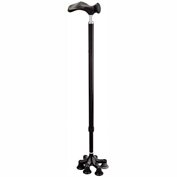 Free Standing Canes with 6-Points Claw Cane Tip