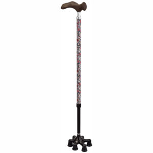 Free Standing Canes with 6-Points Claw Cane Tip